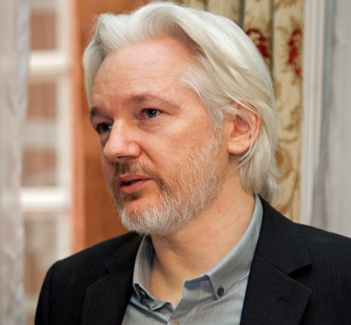 Julian Assange's Freedom: A Pyrrhic Victory for Press Freedom?