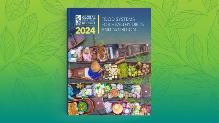 Transforming Food Systems for Healthy Diets and Nutrition: Insights from the 2024 Global Food Policy Report